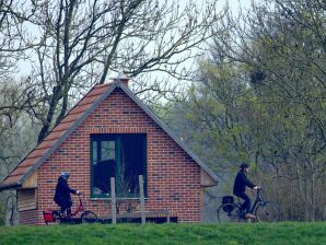 Ferienhaus Antjes Elbblick - Lenzerwische - image1