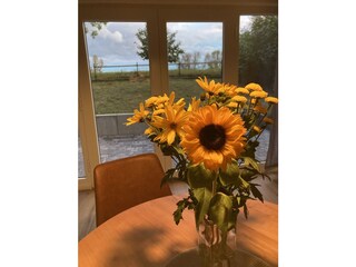 Ferienhaus Lenzerwische Ausstattung 14