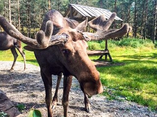 Ferienhaus Hedekas  15