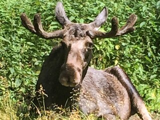 Holiday house Hedekas  26