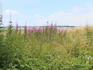 Ferienhaus Blixtorp  5