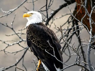 Ferienhaus Blixtorp  8