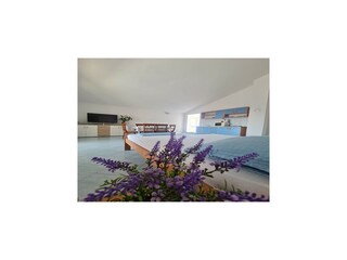 Appartement Privlaka Kenmerken 4