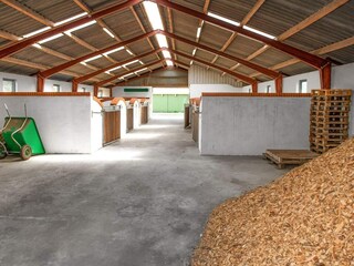 Vakantiehuis Læsø Buitenaudio-opname 4