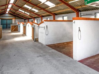 Vakantiehuis Læsø Buitenaudio-opname 12