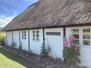 Vakantiehuis Læsø Buitenaudio-opname 3