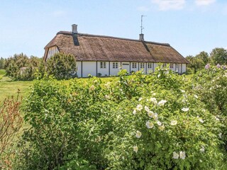 Vakantiehuis Læsø Buitenaudio-opname 2