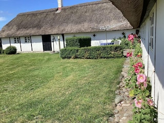 Maison de vacances Læsø Enregistrement extérieur 12