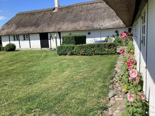 Vakantiehuis Læsø Buitenaudio-opname 26