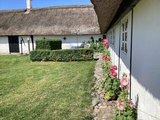 Vakantiehuis Læsø Buitenaudio-opname 27