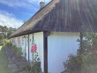 Vakantiehuis Læsø Buitenaudio-opname 28