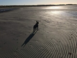 Maison de vacances Læsø  39