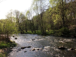 Appartamento Altenbrak Ambiente 38