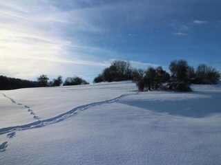 Apartamento Altenbrak Entorno 37