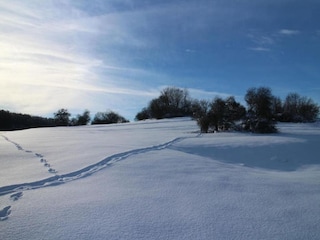 Apartment Altenbrak Umgebung 33