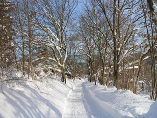 Appartamento Altenbrak Ambiente 34