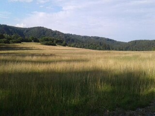 Appartement Altenbrak Environnement 39