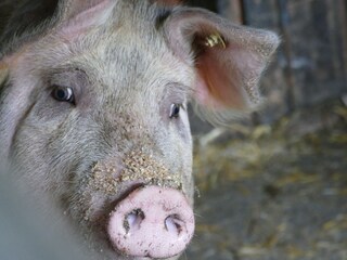 Hallo, ich wohne auch hier