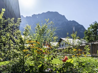 Grünanlage