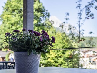Blick ins Grüne vom Balkon