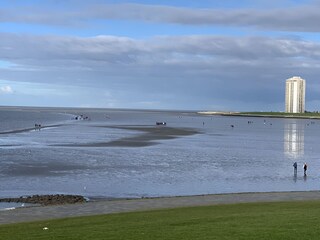 Das Wattenmeer