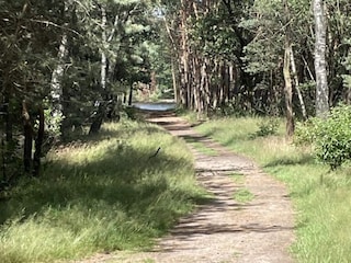 Casa de vacaciones Voorthuizen Entorno 25