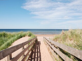Vakantiehuis Kamperland Omgeving 22