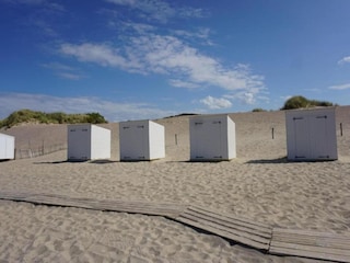 Vakantiehuis Kamperland Omgeving 42