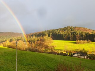 Blick ins Schwarzwaldtal