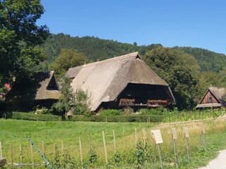 Vogtsbauernhöfe