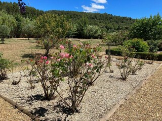 Villa Félines-Minervois Außenaufnahme 14