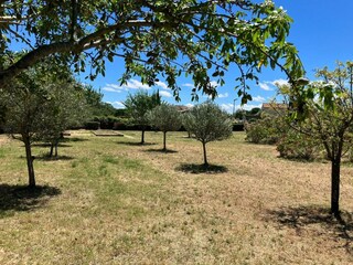 Villa Félines-Minervois Außenaufnahme 16