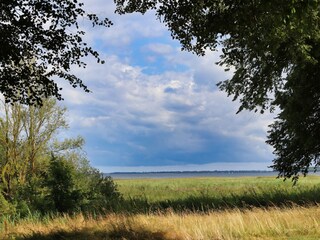 Casa per le vacanze Klausdorf bei Stralsund Ambiente 31