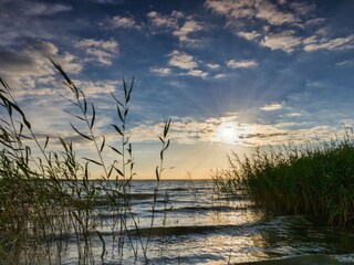 Casa per le vacanze Klausdorf bei Stralsund Ambiente 35