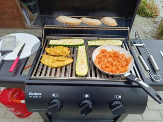 Gasgrill für die ganze Gruppe