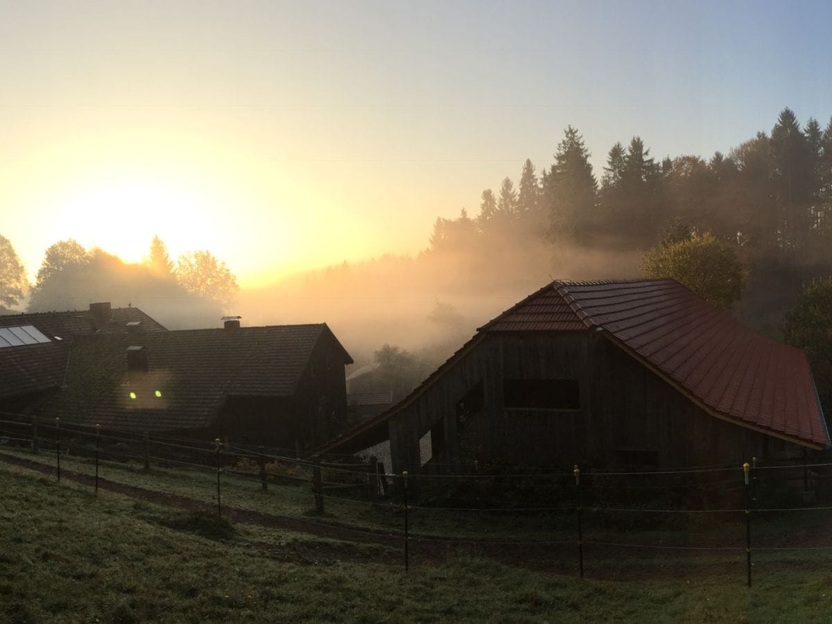 Morgenstimmumg im Oktober