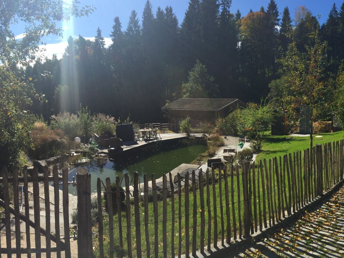 Sonne am Naturpool von früh bis späth