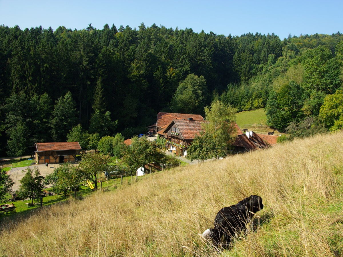 Alleinlage am Rande des  "Höllbachtales"