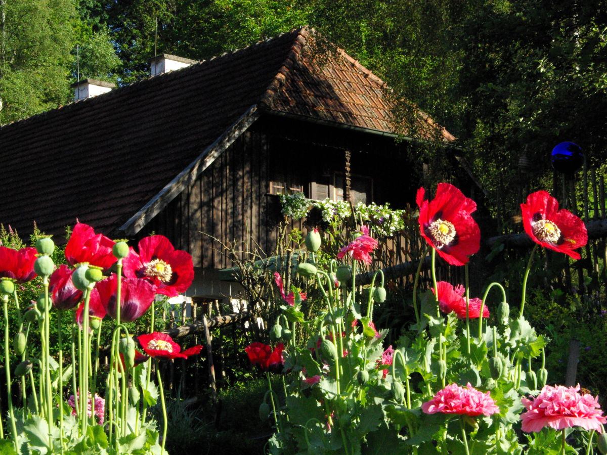 Sommer auf dem Stuberhof