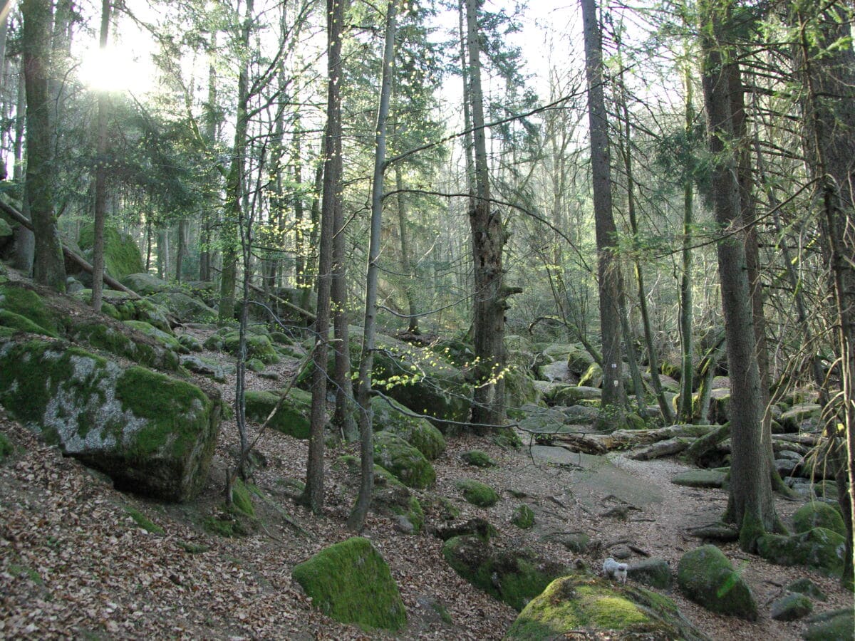 Naturschutzgebiet Höllbachtal 800 m entfernt