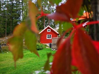 Ferienhaus Laxne Außenaufnahme 7