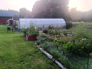 Ferienhaus Laxne Außenaufnahme 9