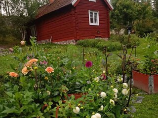 Ferienhaus Laxne  13