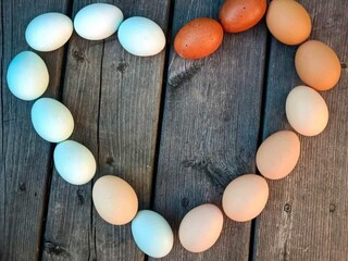 Ferienhaus Laxne  21