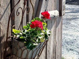 Vakantiehuis Laxne  22