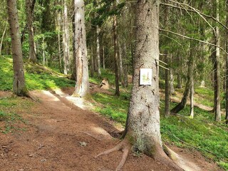 Holiday house Hölö  12