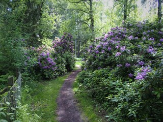 Vakantiehuis Hölö  13