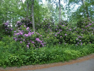 Ferienhaus Hölö  13