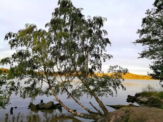 Vakantiehuis Hölö  16