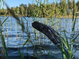Ferienhaus Hölö  27